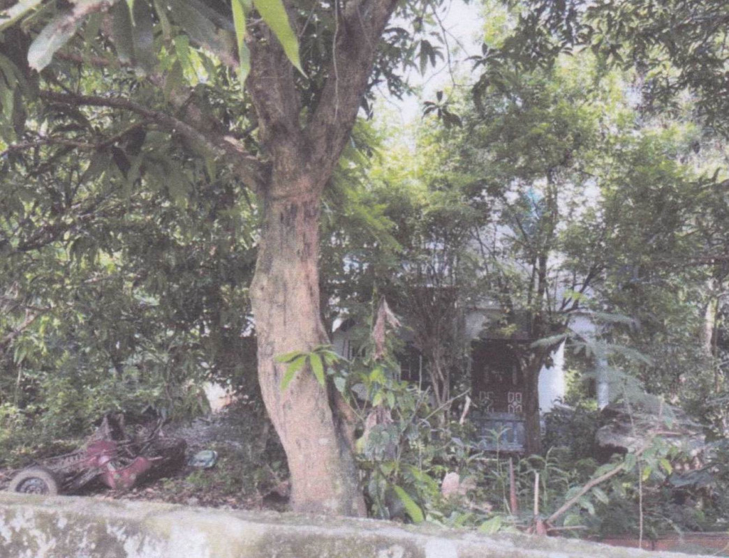 บ้านเดี่ยว ปราจีนบุรี ศรีมหาโพธิ บางกุ้ง 521494