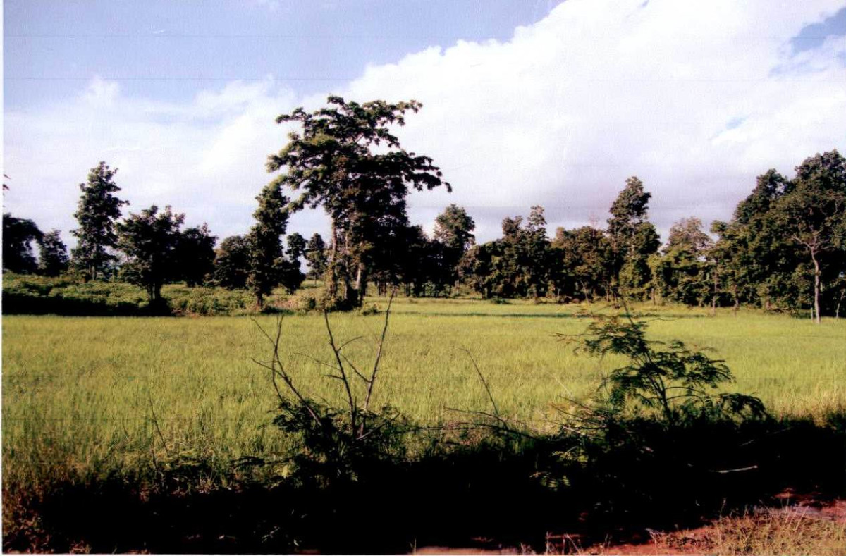 Residential land/lot Kalasin Mueang Kalasin Lampao 407000