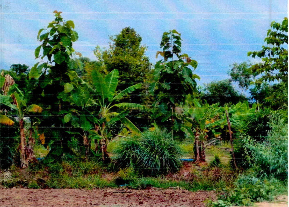 ที่ดินเปล่า ศรีสะเกษ อุทุมพรพิสัย หนองห้าง 513630