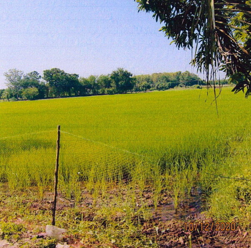 ที่ดินเปล่า สุโขทัย ศรีสำโรง เกาะตาเลี้ยง 304300