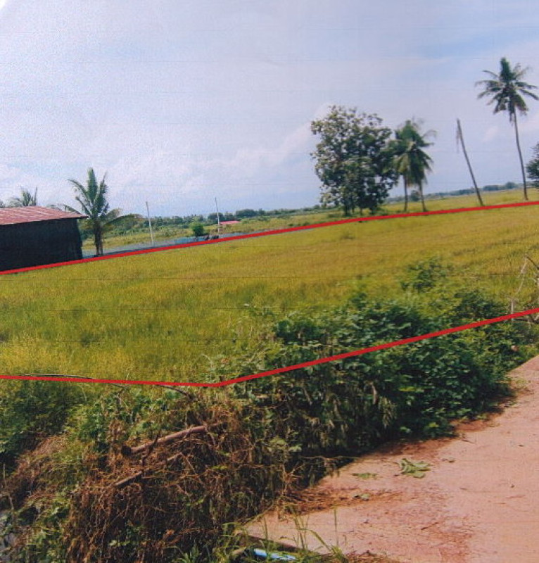 ที่ดินเปล่า สุโขทัย ศรีสำโรง วังทอง 274725