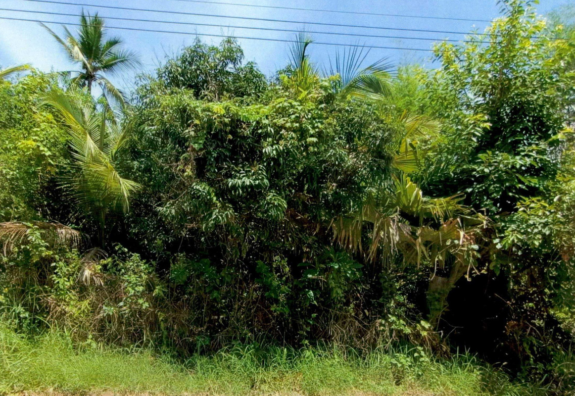 Residential land/lot Nong Khai Tha Bo Kong Nang 153560