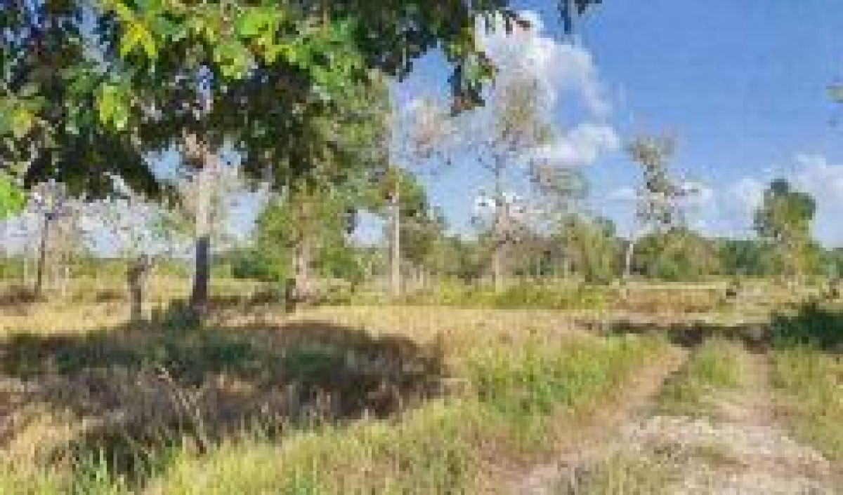 ที่ดินเปล่า อุบลราชธานี บุณฑริก ห้วยข่า 1074260
