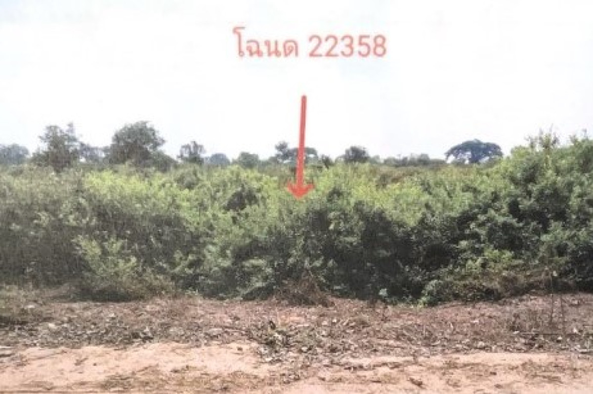 ที่ดินเปล่า ยโสธร คำเขื่อนแก้ว สงเปือย 966000