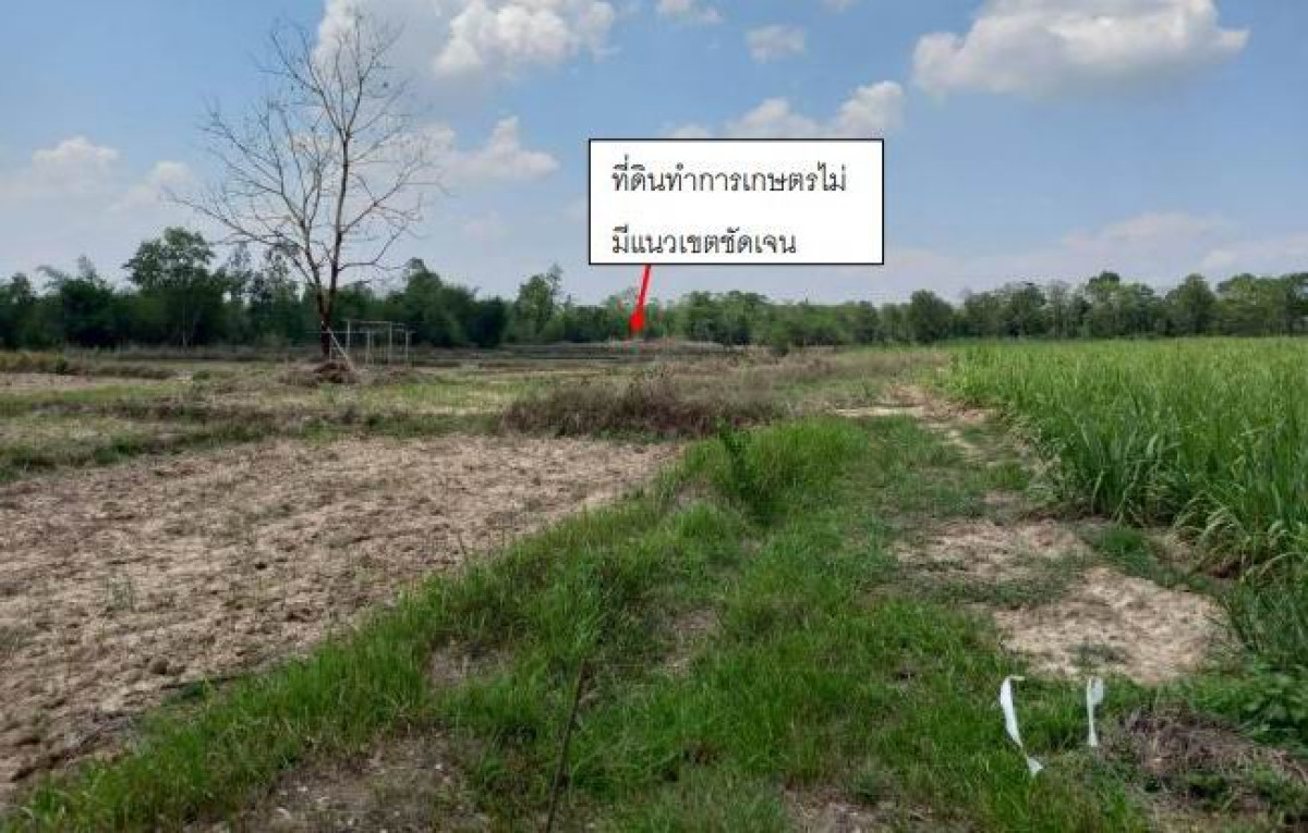 Residential land/lot Udon Thani Sang Khom Ban Yuat 606600