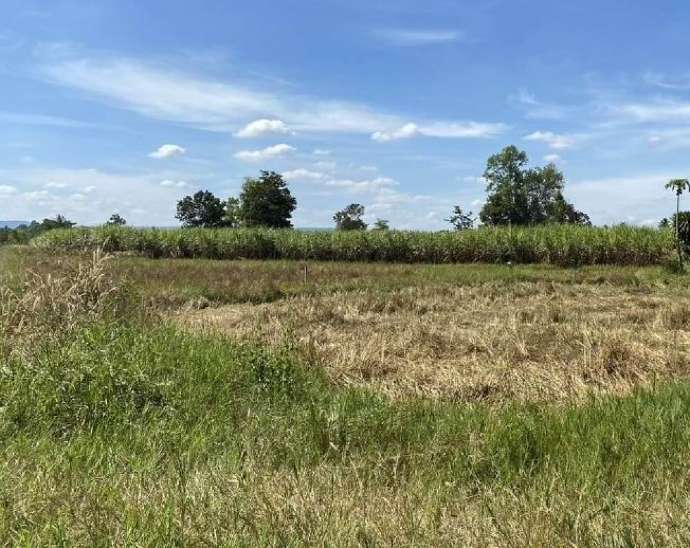 Residential land/lot Udon Thani Kut Chap Kut Chap 128100