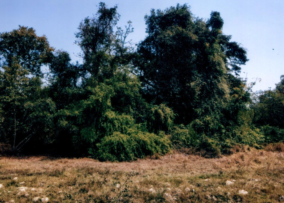 Residential land/lot Prachuap Khiri Khan Thap Sakae Thap Sakae 1000000