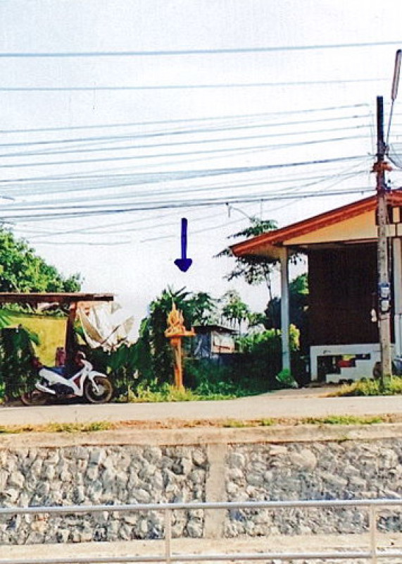 ที่ดินเปล่า สุโขทัย เมืองสุโขทัย ปากแคว 41550