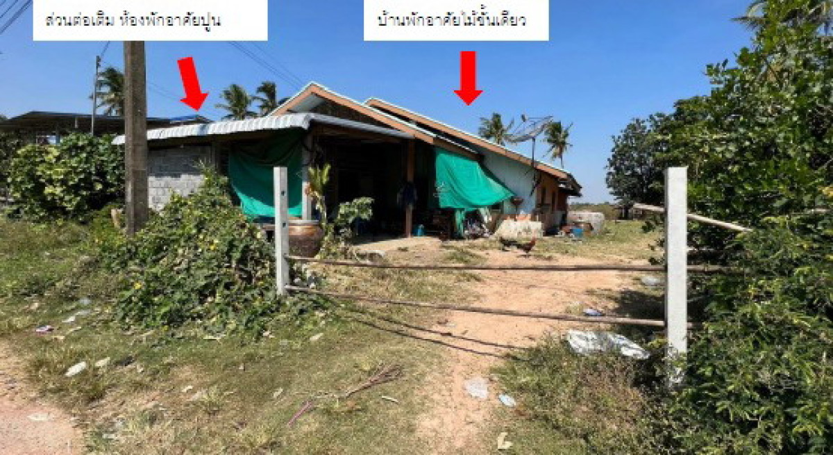 Single house Buri Ram Krasang Nong Teng 1022060