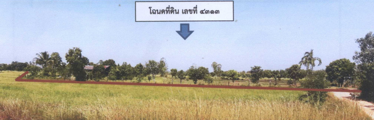 Single house Yasothon Mueang Yasothon Tat Thong 662820