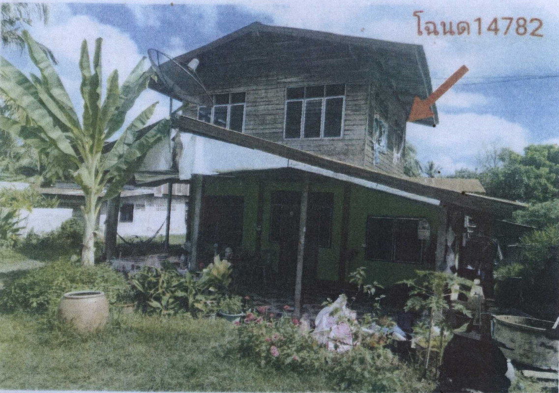 บ้านเดี่ยว ยโสธร ป่าติ้ว โพธิ์ไทร 447000