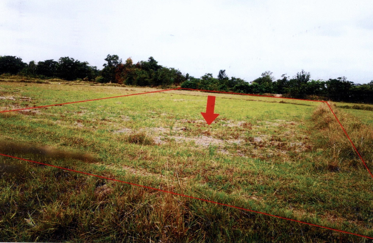ที่ดินเปล่า หนองคาย เมืองหนองคาย โพธิ์ชัย 620000
