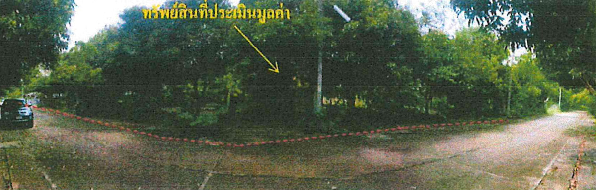 ที่ดินเปล่า ชลบุรี บางละมุง หนองปลาไหล 1320000