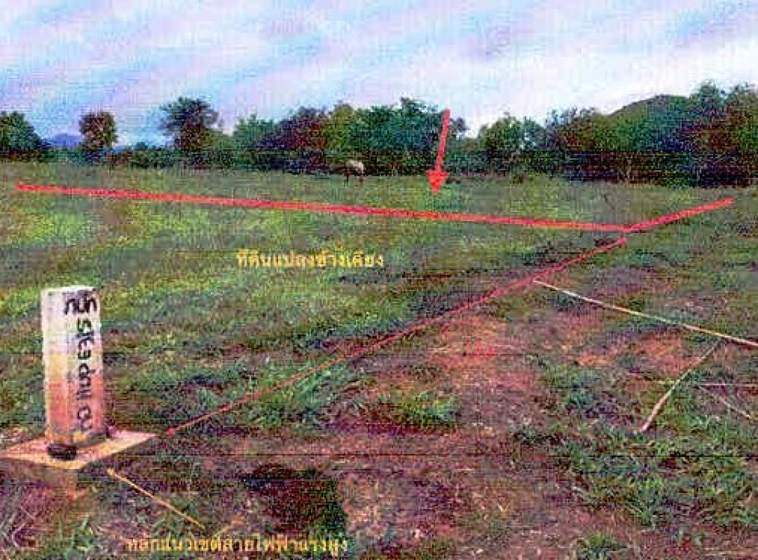 ที่ดินเปล่า เลย ท่าลี่ หนองผือ 3314500