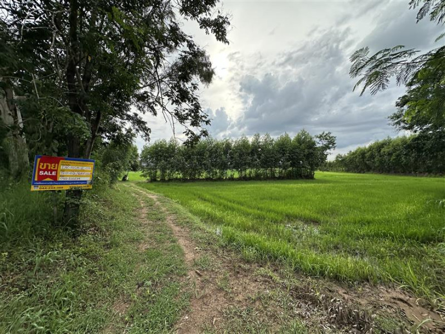 ที่ดินเปล่า นครราชสีมา ปักธงชัย ตะคุ 3570000