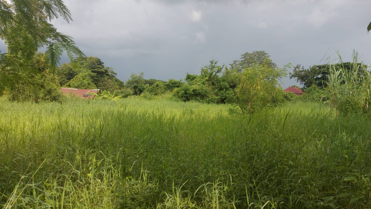 ที่ดินเปล่า หนองคาย เมืองหนองคาย เวียงคุก 5500000