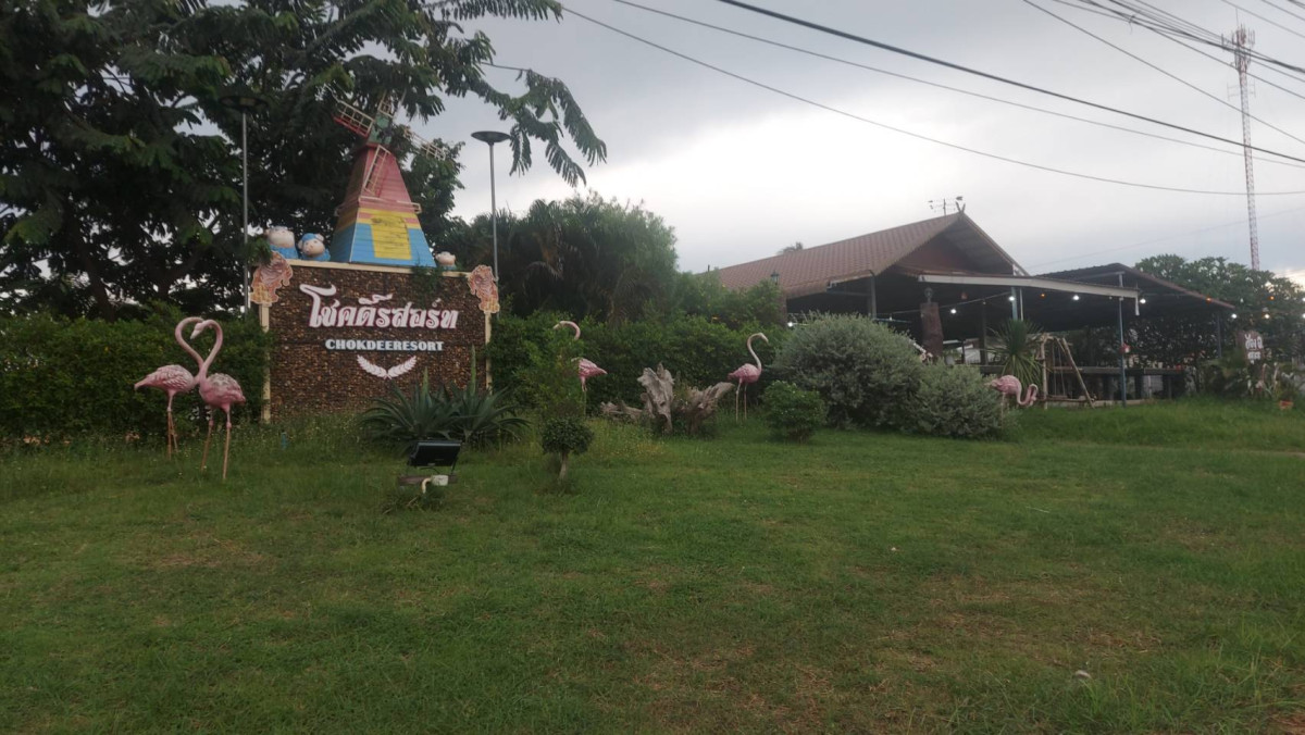 ที่ดินเปล่า อุดรธานี หนองวัวซอ หนองอ้อ 21000000