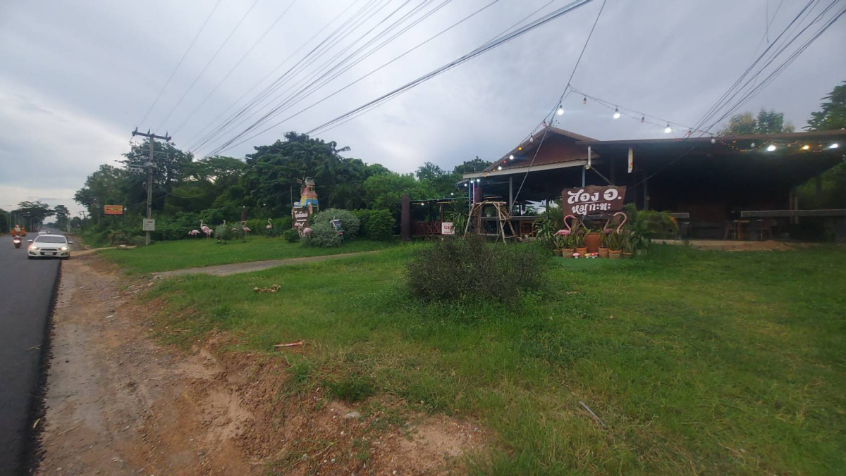 ที่ดินเปล่า อุดรธานี หนองวัวซอ หนองอ้อ 21000000