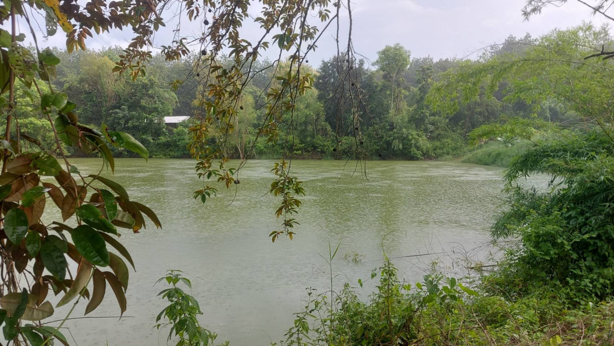 ที่ดินเปล่า หนองคาย เมืองหนองคาย พระธาตุบังพวน 6000000