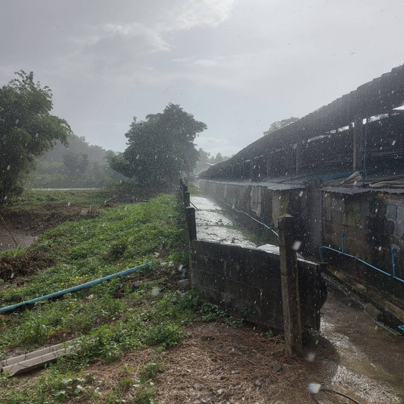 ที่ดินเปล่า หนองคาย เมืองหนองคาย พระธาตุบังพวน 6000000