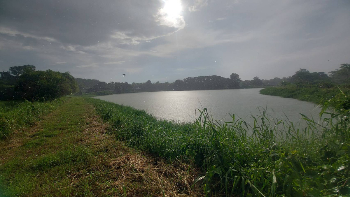 ที่ดินเปล่า หนองคาย เมืองหนองคาย พระธาตุบังพวน 6000000