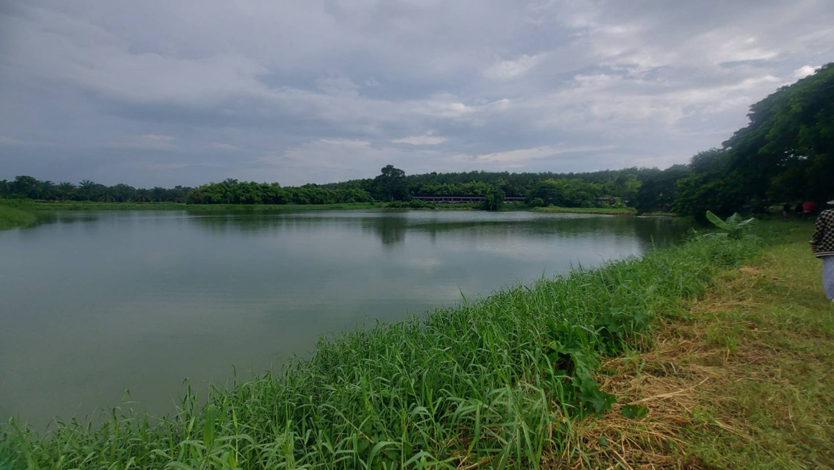 ที่ดินเปล่า หนองคาย เมืองหนองคาย พระธาตุบังพวน 6000000