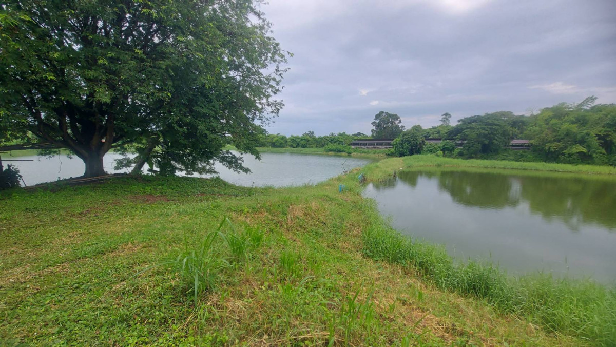 ที่ดินเปล่า หนองคาย เมืองหนองคาย พระธาตุบังพวน 6000000