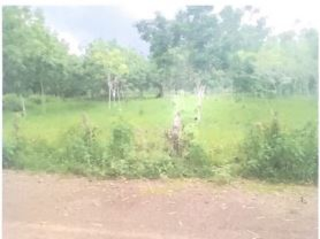 ที่ดินเปล่า อุดรธานี เพ็ญ สุมเส้า 742000