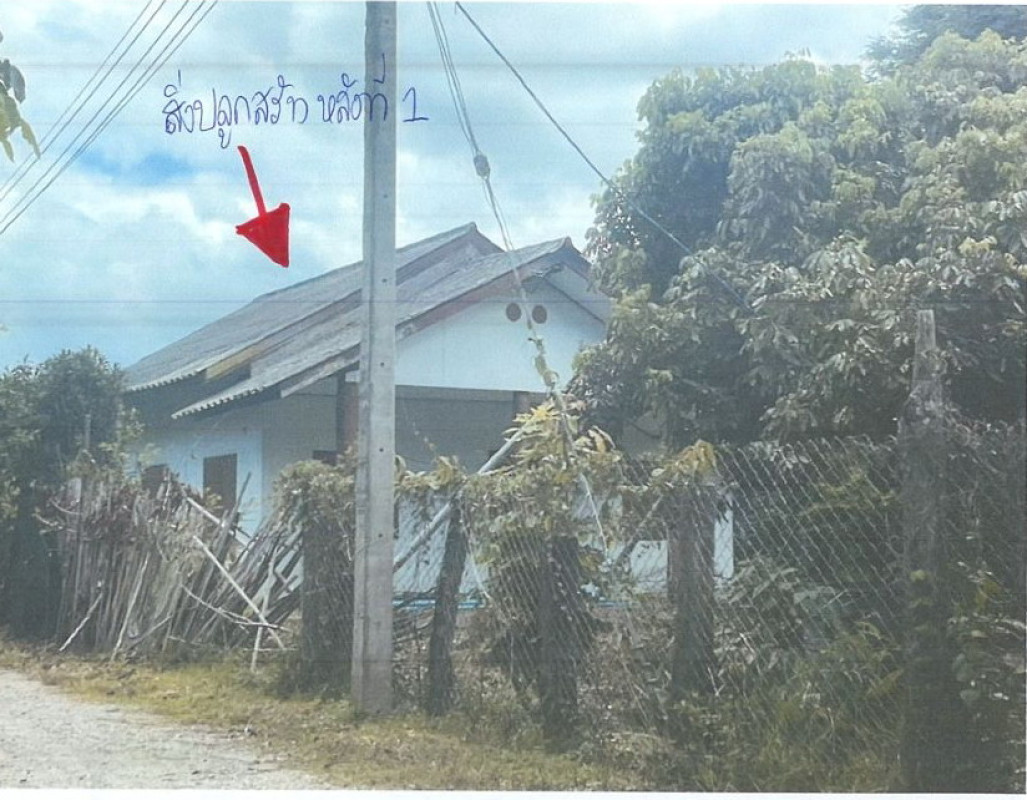 บ้านเดี่ยว ลำพูน ลี้ แม่ตืน 709010