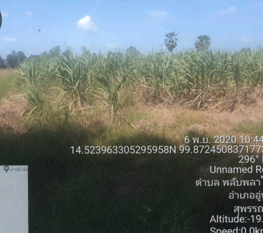 ที่ดินเปล่า สุพรรณบุรี อู่ทอง พลับพลาไชย 496750