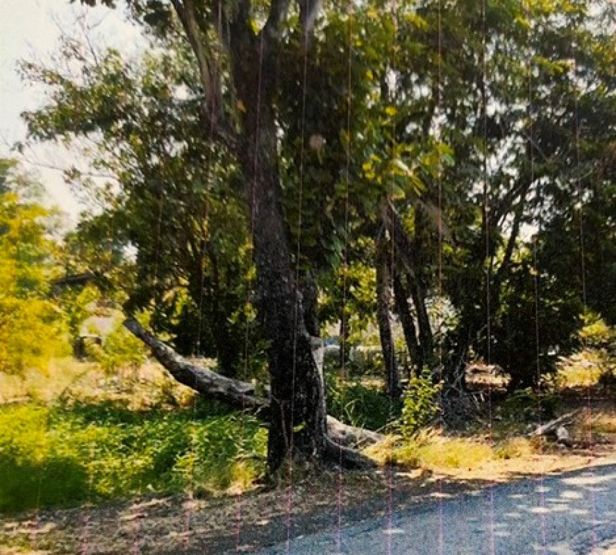 Residential land/lot Bangkok Nong Chok Lam Toiting 4050000