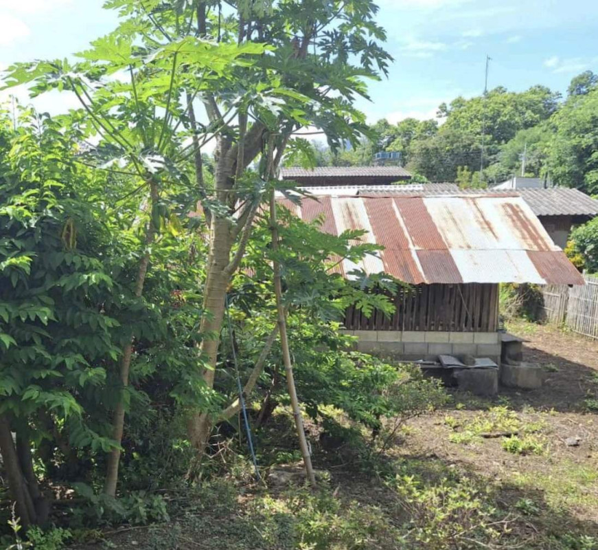 บ้านเดี่ยว แม่ฮ่องสอน ปาย เวียงเหนือ 147645