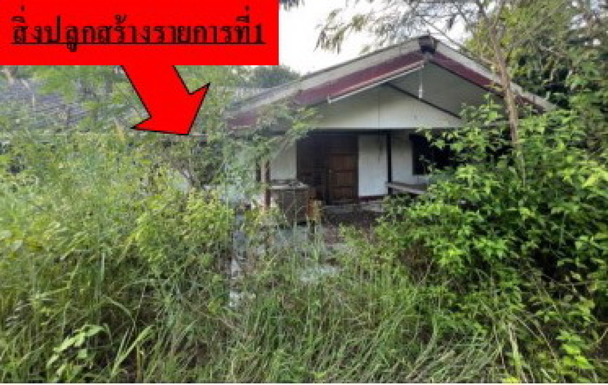 บ้านเดี่ยว มหาสารคาม พยัคฆภูมิพิสัย เวียงชัย 1929900