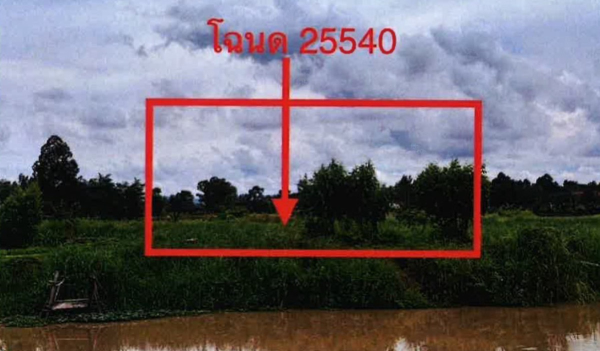 ที่ดินเปล่า อุดรธานี หนองวัวซอ หนองวัวซอ 226000