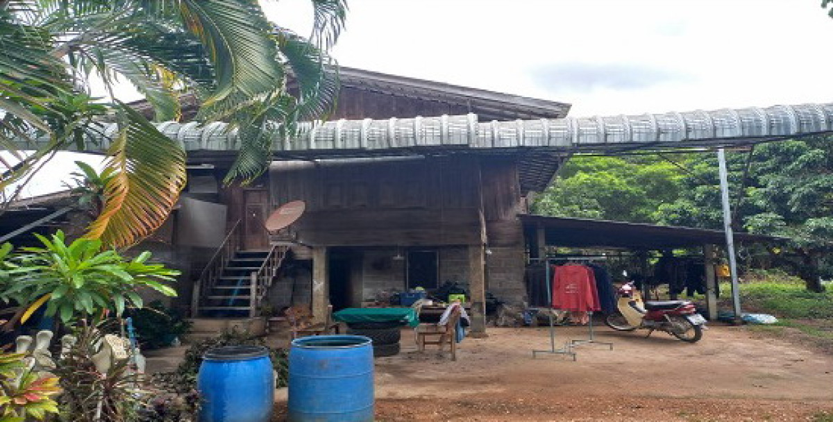 บ้านเดี่ยว ลำพูน แม่ทา ทาขุมเงิน 502560