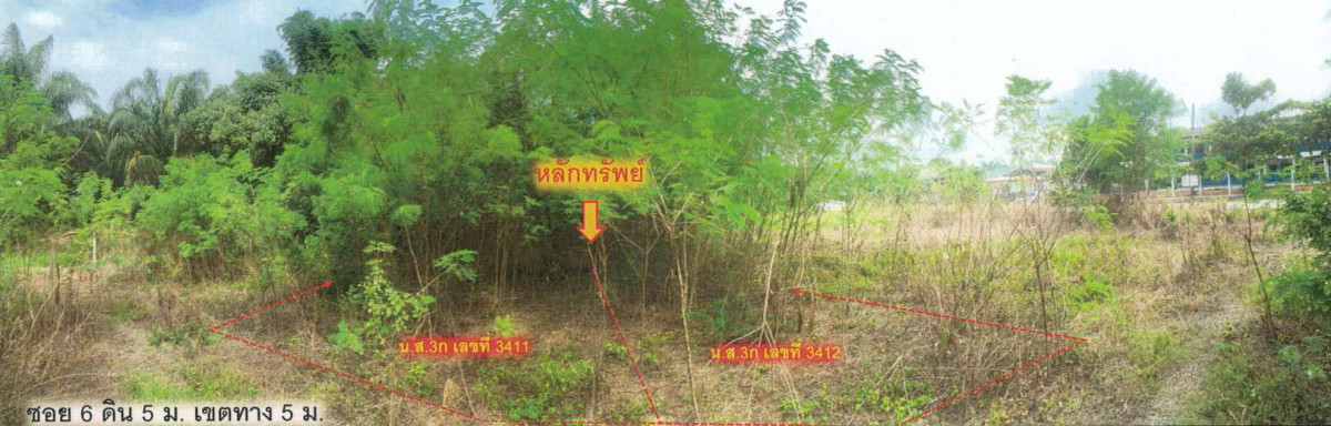 ที่ดินเปล่า สุราษฎร์ธานี พระแสง อิปัน 720000