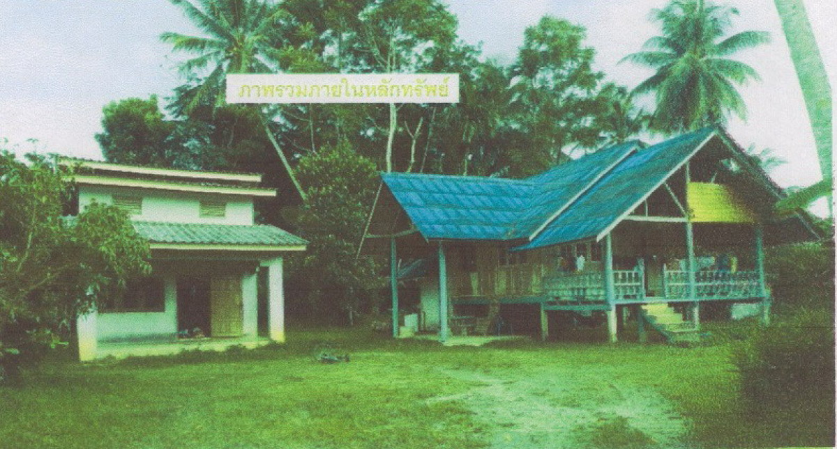 Single house Nakhon Si Thammarat Thung Song Kapang 887370