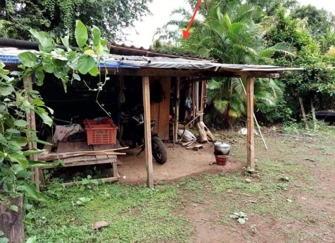 Single house Mae Hong Son Pai Mae Na Toeng 411584