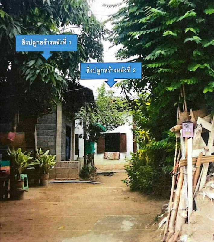 Single house Lamphun Pa Sang Pa Sang 219000
