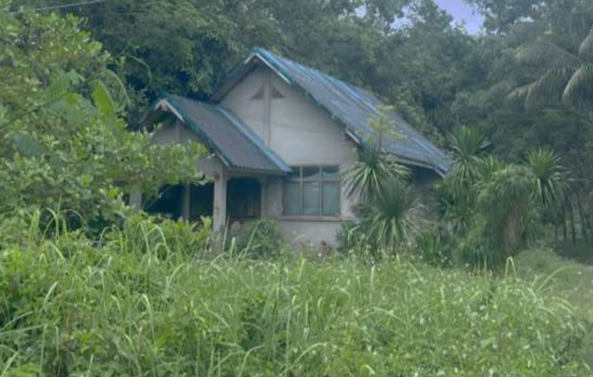 บ้านเดี่ยว สุราษฎร์ธานี บ้านนาสาร ทุ่งเตาใหม่ 800574