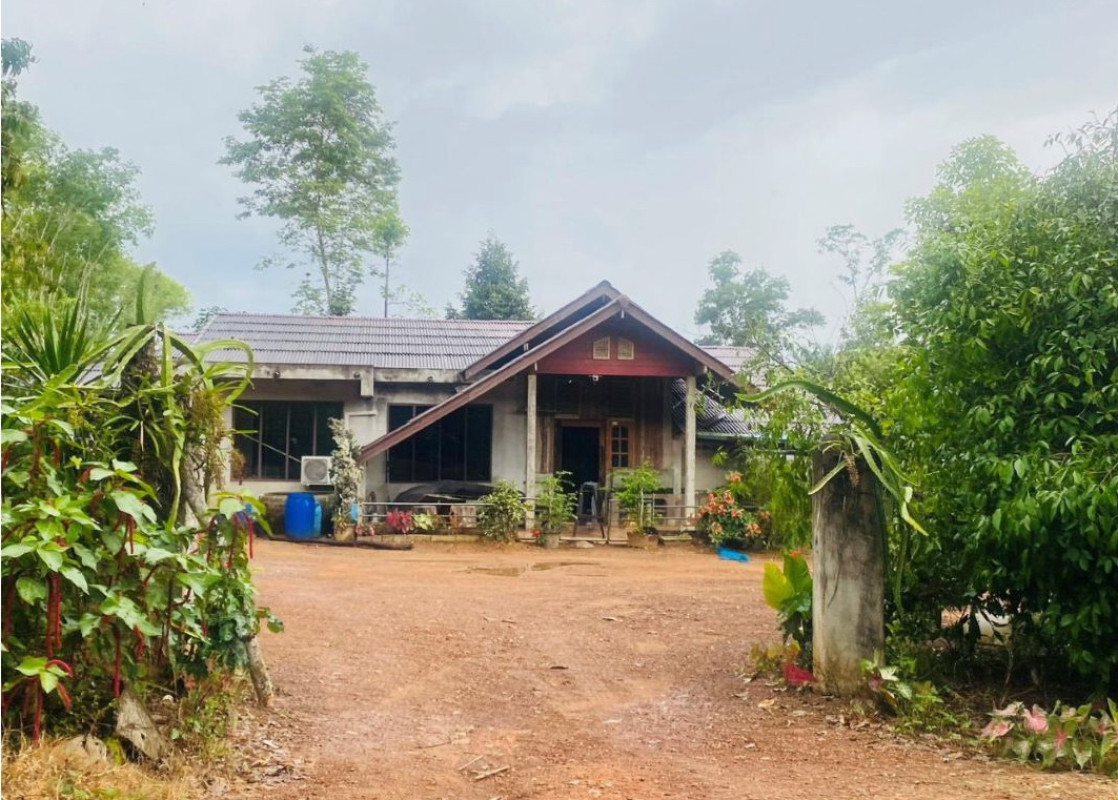 บ้านเดี่ยว สุราษฎร์ธานี ท่าฉาง ปากฉลุย 2444025