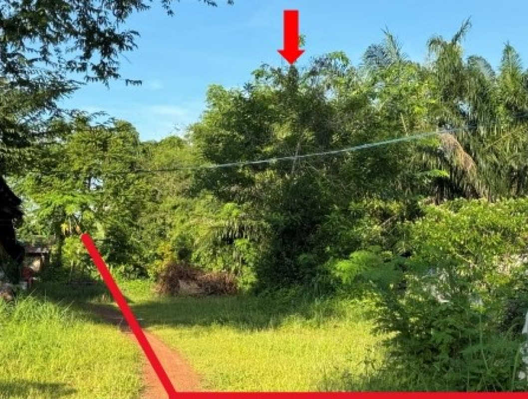 ที่ดินเปล่า สกลนคร บ้านม่วง บ่อแก้ว 13800