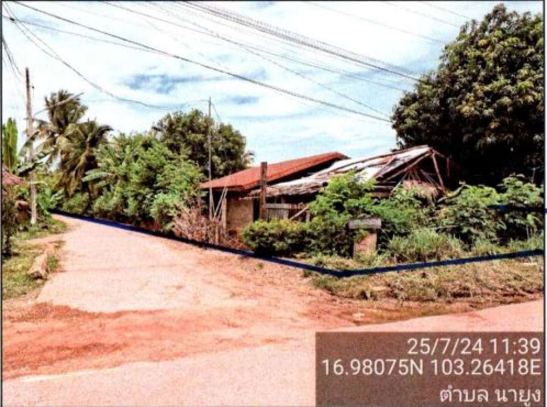บ้านเดี่ยว อุดรธานี ศรีธาตุ นายูง 236950