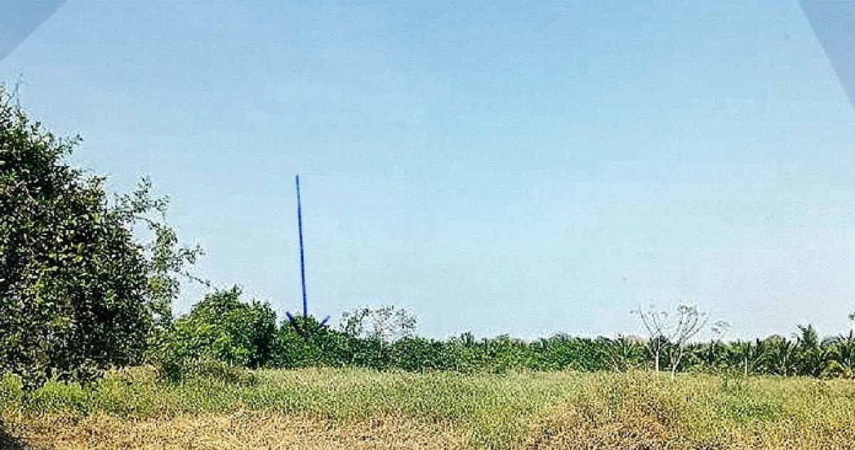 ที่ดินเปล่า ราชบุรี โพธาราม หนองโพ 459675