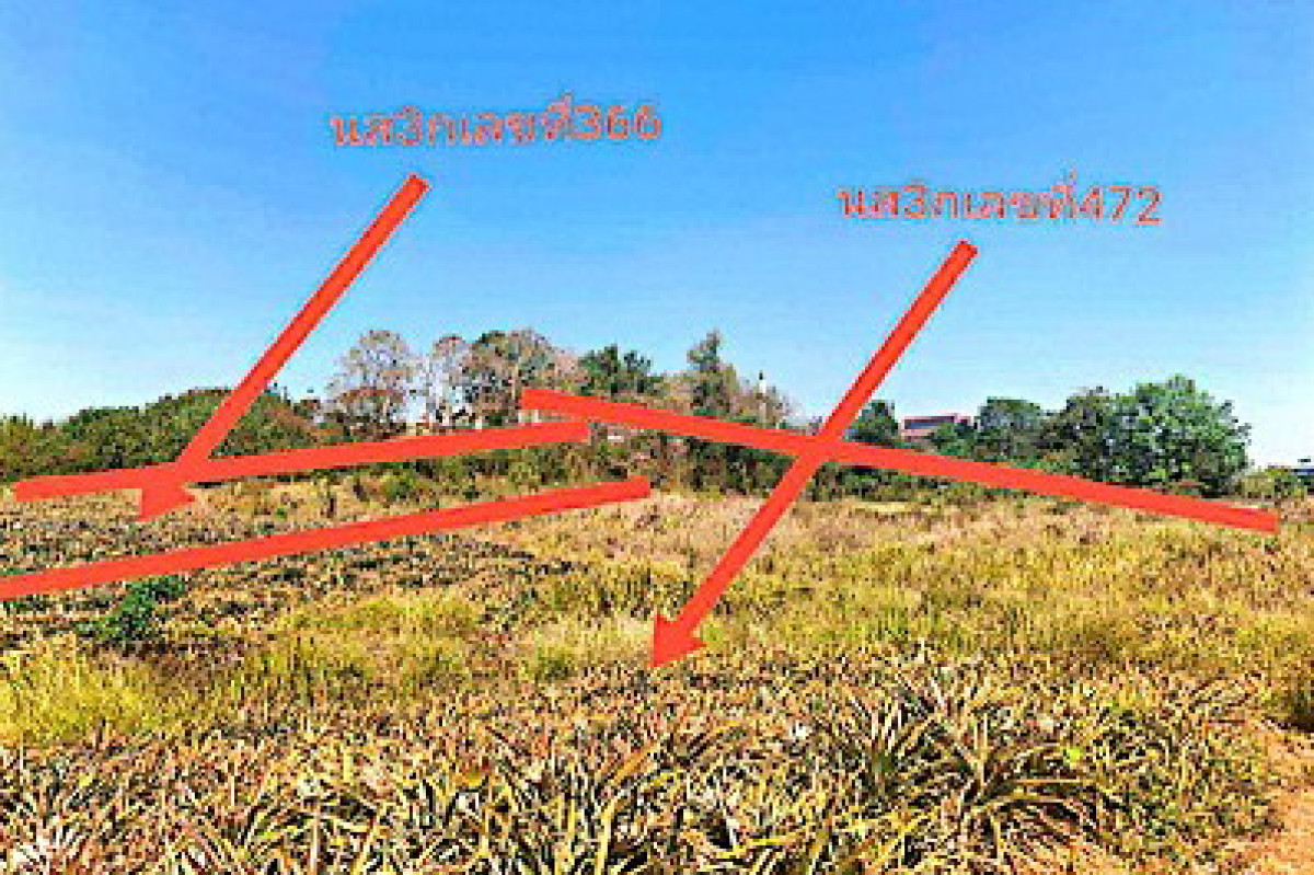 ที่ดินเปล่า ราชบุรี บ้านคา บ้านคา 88000