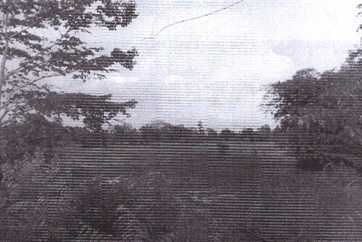 Residential land/lot Sukhothai Mueang Sukhothai Mueang Kao 482430