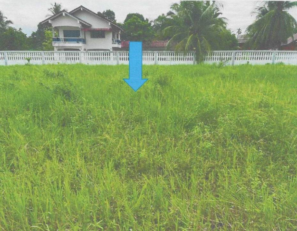 ที่ดินเปล่า สุราษฎร์ธานี บ้านนาสาร น้ำพุ 375000