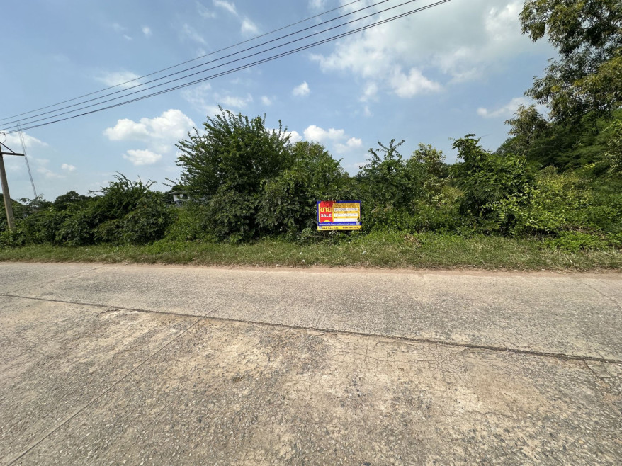 ที่ดินเปล่า ชัยภูมิ จัตุรัส บ้านกอก 2178000