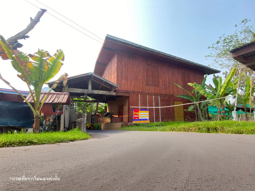 บ้านเดี่ยว ชัยภูมิ ภูเขียว ธาตุทอง 920000