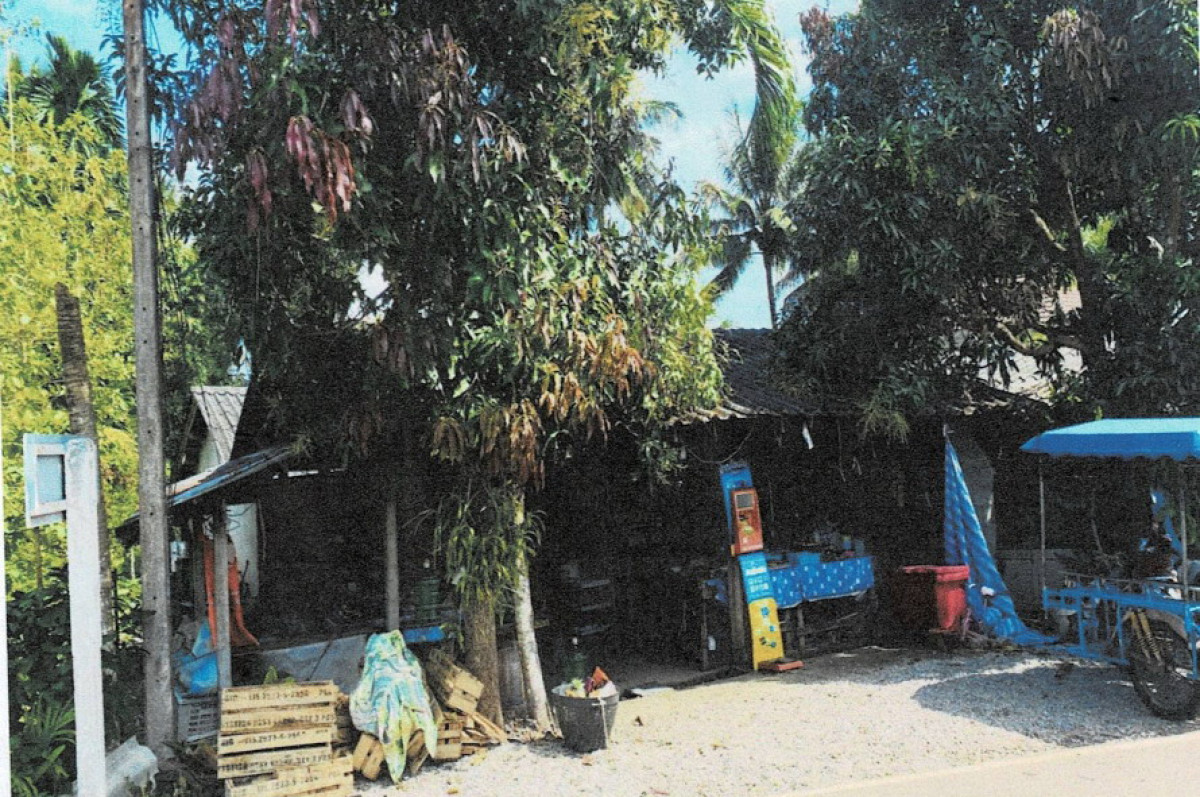 บ้านเดี่ยว ตรัง ย่านตาขาว ทุ่งกระบือ 588244